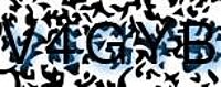 grafischer Sicherheitscode