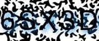 grafischer Sicherheitscode